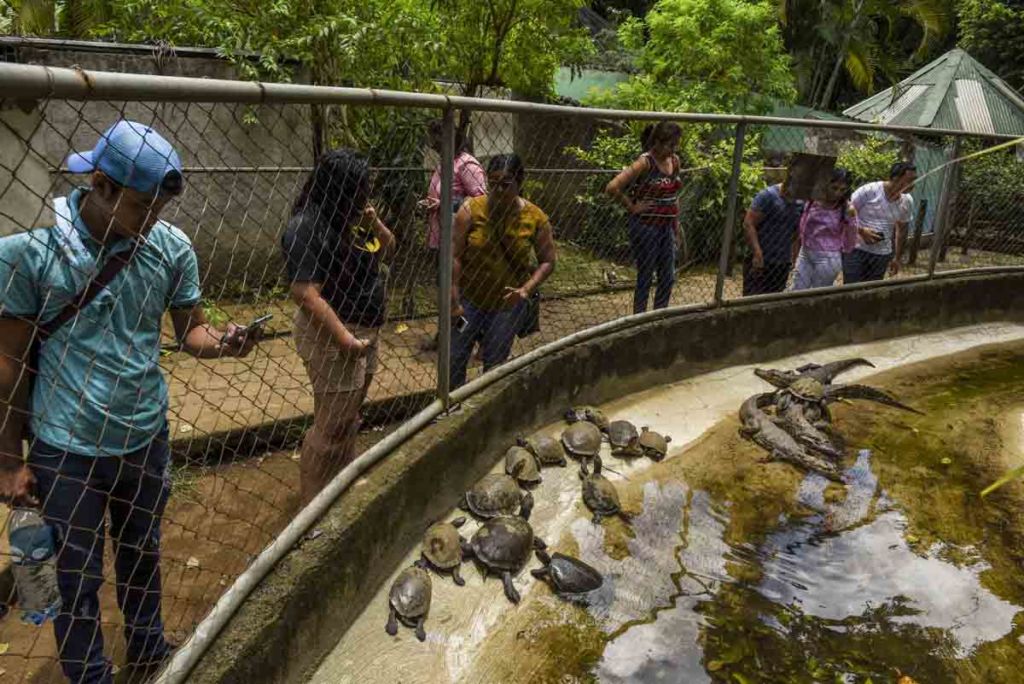 zoologico nacional