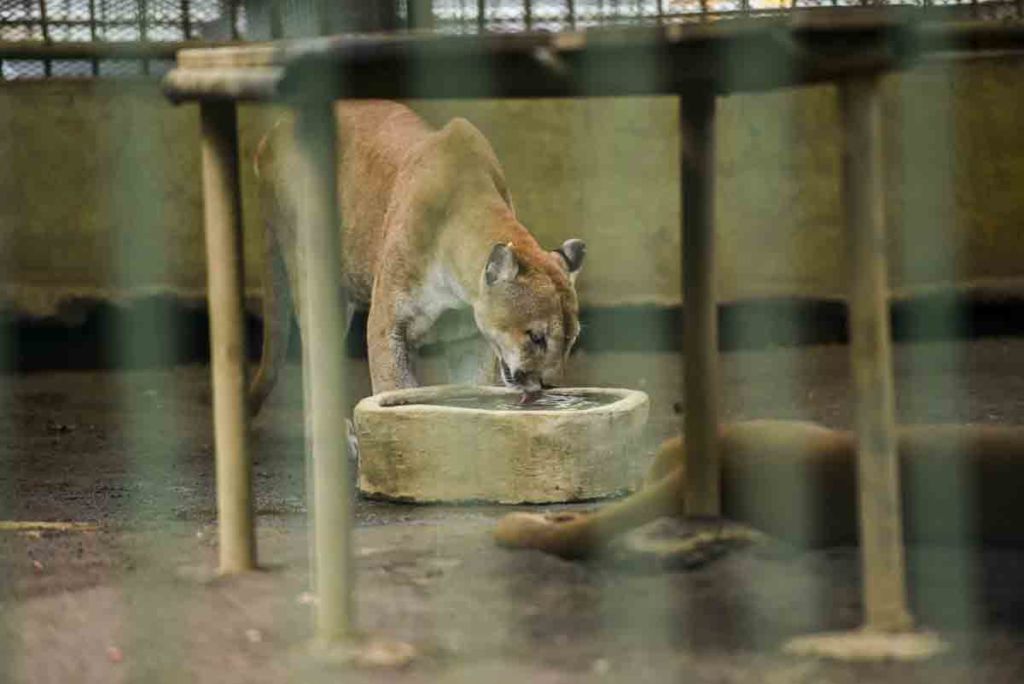 zoologico nacional