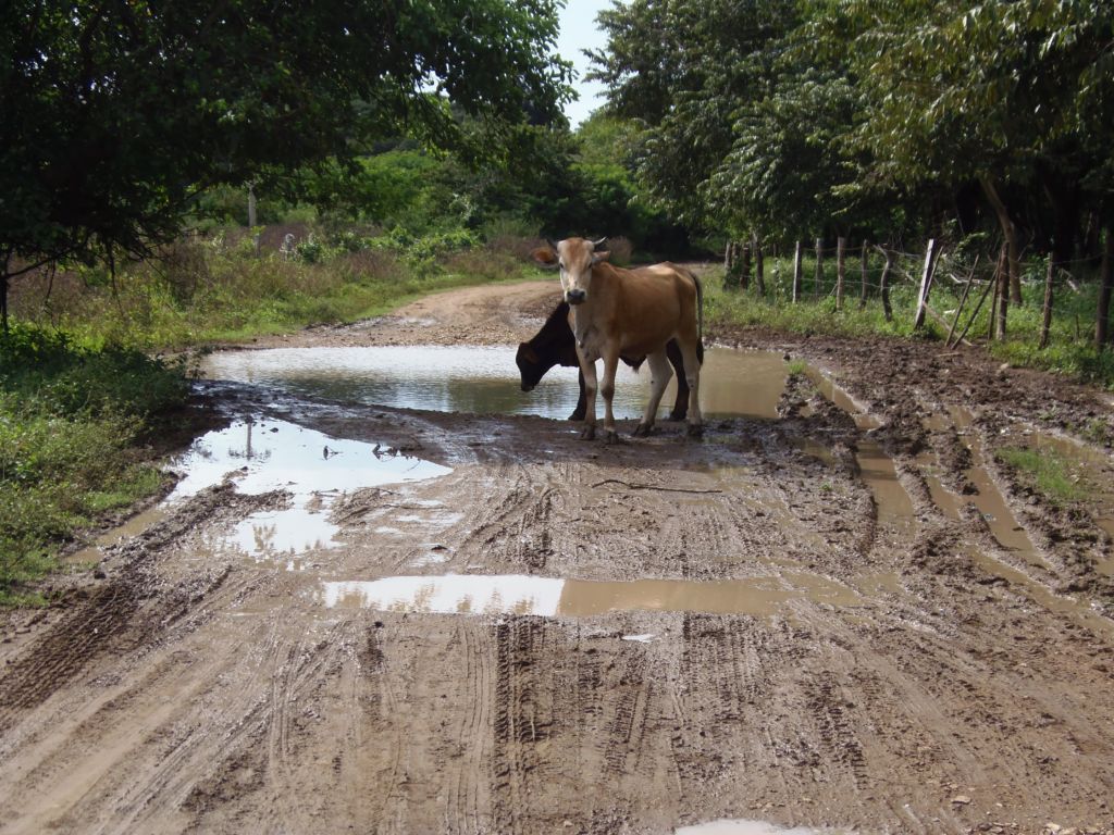 Canal