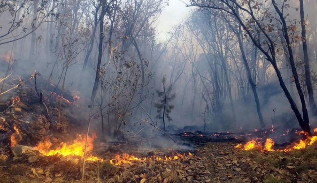 incendios