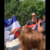 Tres fanáticos orteguistas atacan una protesta de nicaragüenses en Washington Tres fanáticos orteguistas atacan una protesta de nicaragüenses en Washington