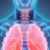 Cómo es el primer líquido magnético que se espera que revolucione la ciencia Cómo es el primer líquido magnético que se espera que revolucione la ciencia