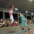 Vansdell Thomas regresa con Indígenas de Matagalpa a la LSB Vansdell Thomas regresa con Indígenas de Matagalpa a la LSB