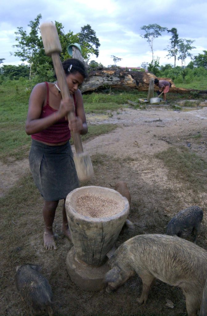 Caribe