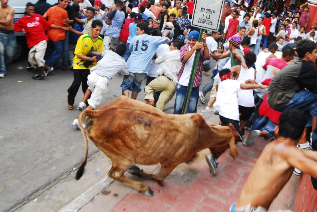 Tradición
