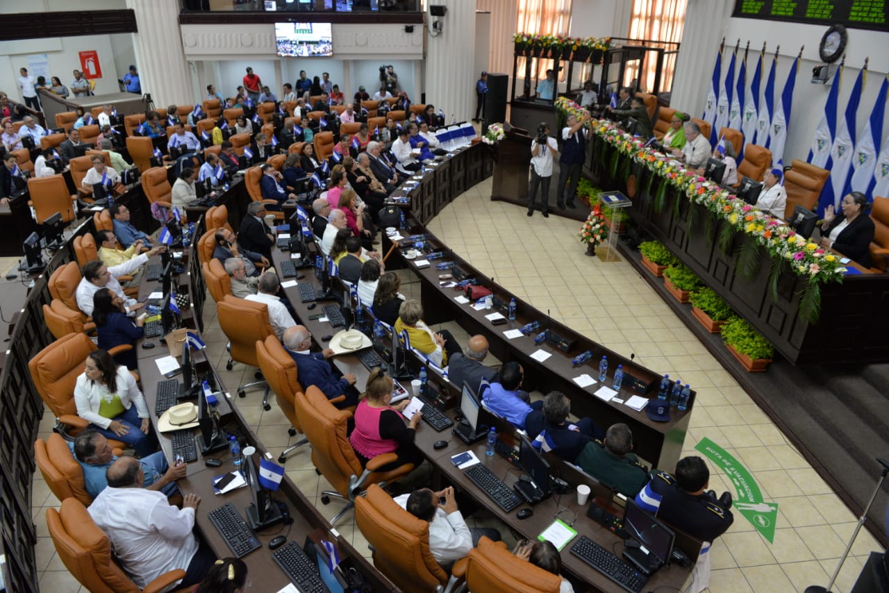 asamblea nacional