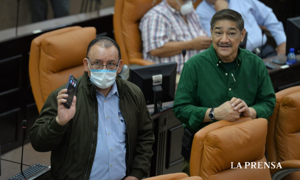 diputados orteguistas, coronavirus, crisis económica, pandemia, Nicaragua