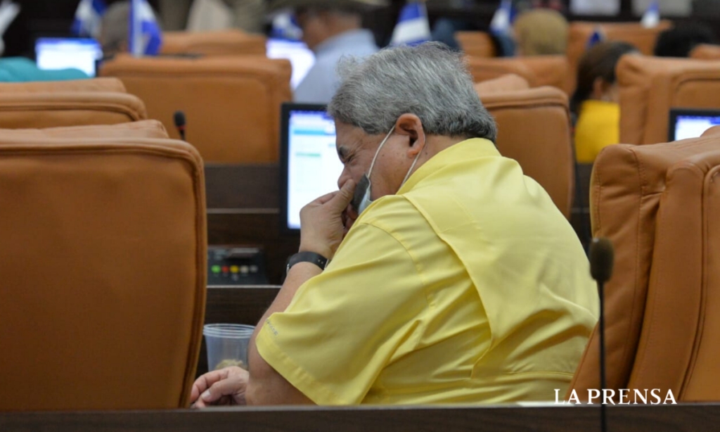 asamblea diputados coronavirus