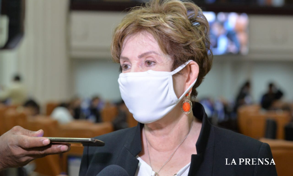 asamblea diputados coronavirus
