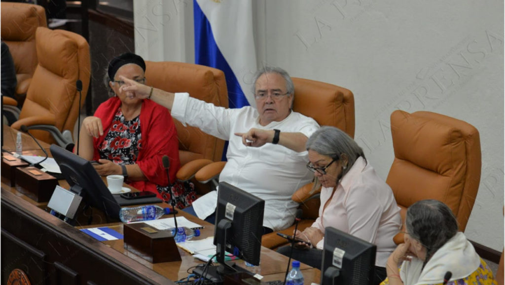 coronarivus. Asamblea Nacional, diputados