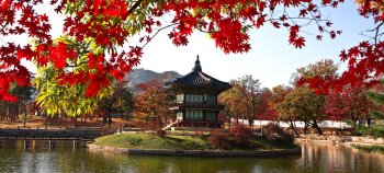 img-card-promociones