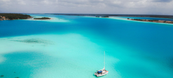 img-card-promociones