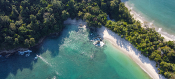 img-card-promociones