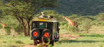 img-card-promociones