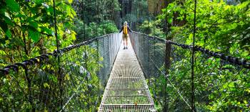 img-card-promociones