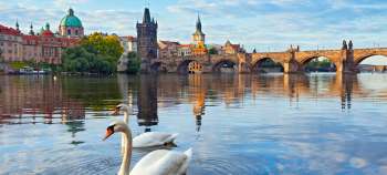 img-card-promociones