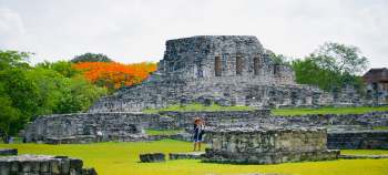 img-card-promociones