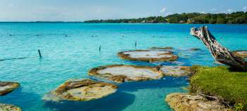 img-card-promociones