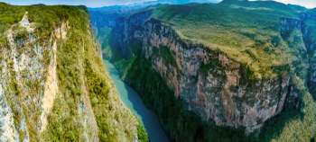 img-card-promociones