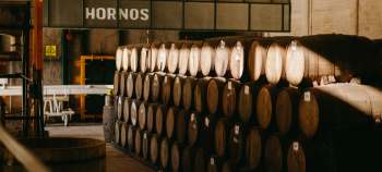 img-card-promociones