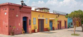 Oaxaca y su noche de rábanos y calendas en Navidad