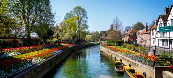 img-card-promociones