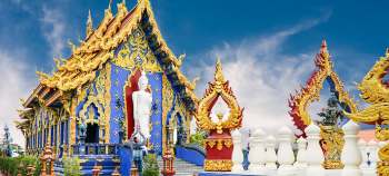 img-card-promociones