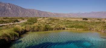 img-card-promociones