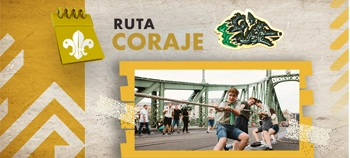 img-card-promociones