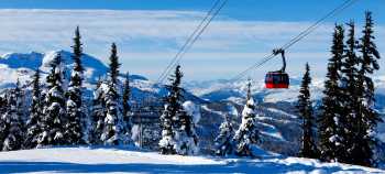 img-card-promociones