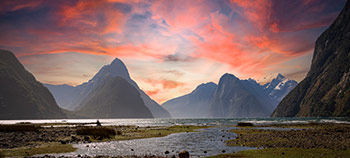 img-card-promociones