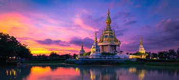 img-card-promociones