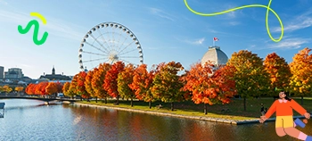 img-card-promociones