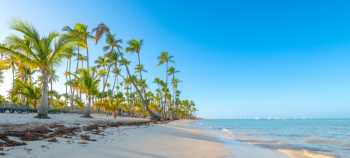 Vuelo redondo a Punta Cana