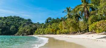 Pura Vida Costa Rica