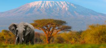 Tanzania Inolvidable