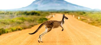 Australia al completo
