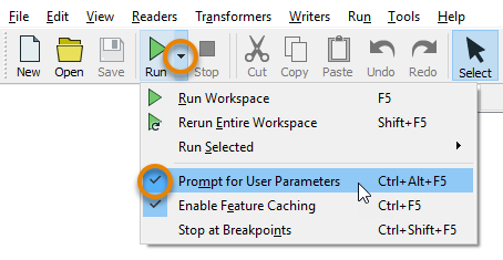 Ensuring Prompt for User Parameters is checked