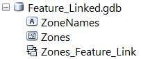Feature_Linked in ArcCatalog