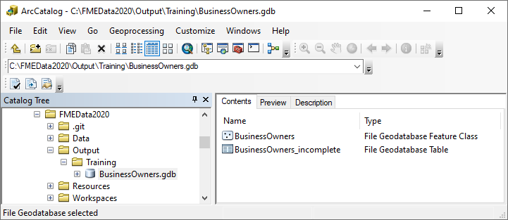 Viewing the geodatabase in ArcCatalog