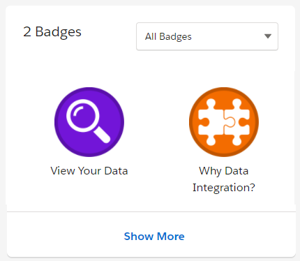 Viewing badges on your profile