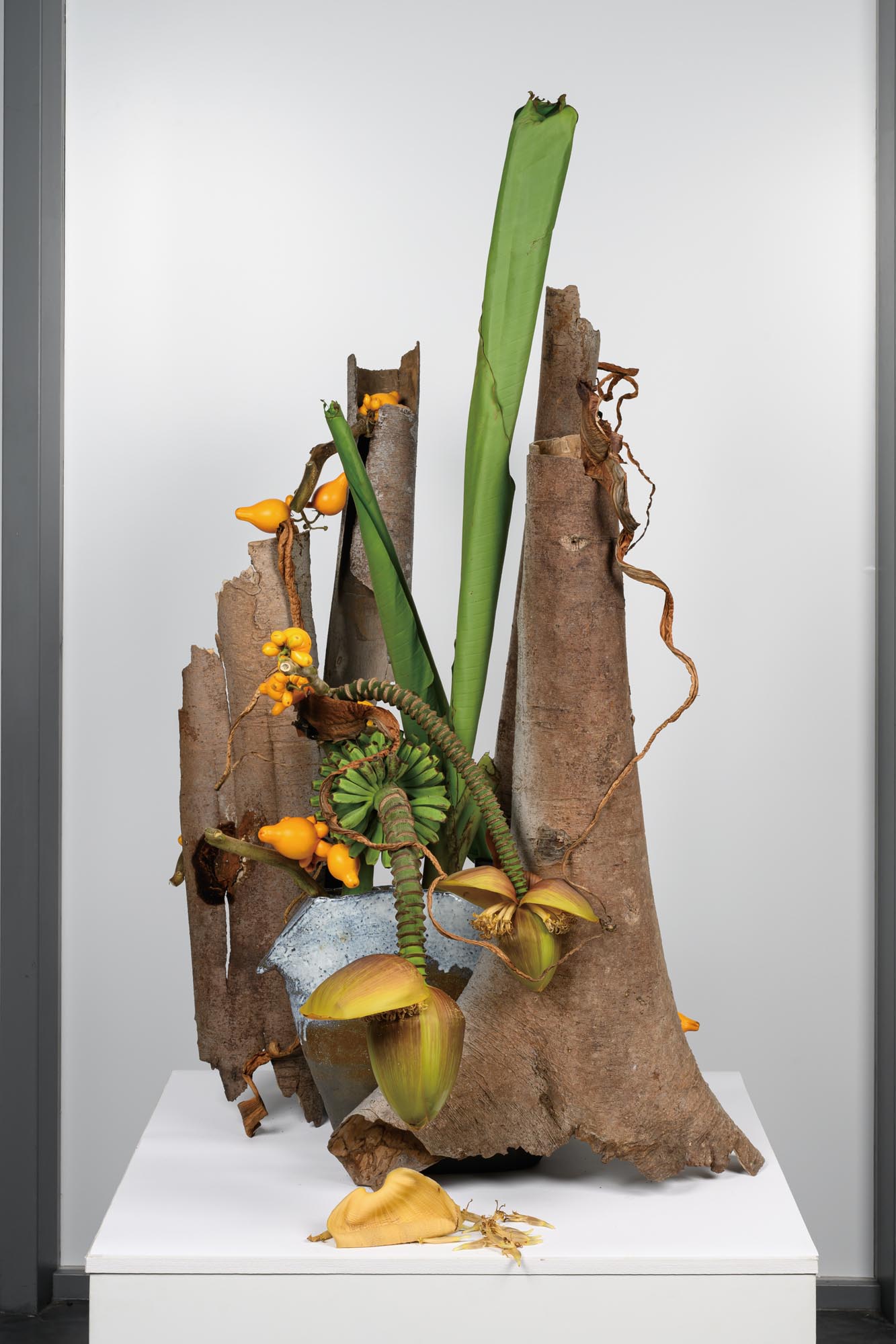 お - 渋谷いけばなウィーク|SHIBU-IKE