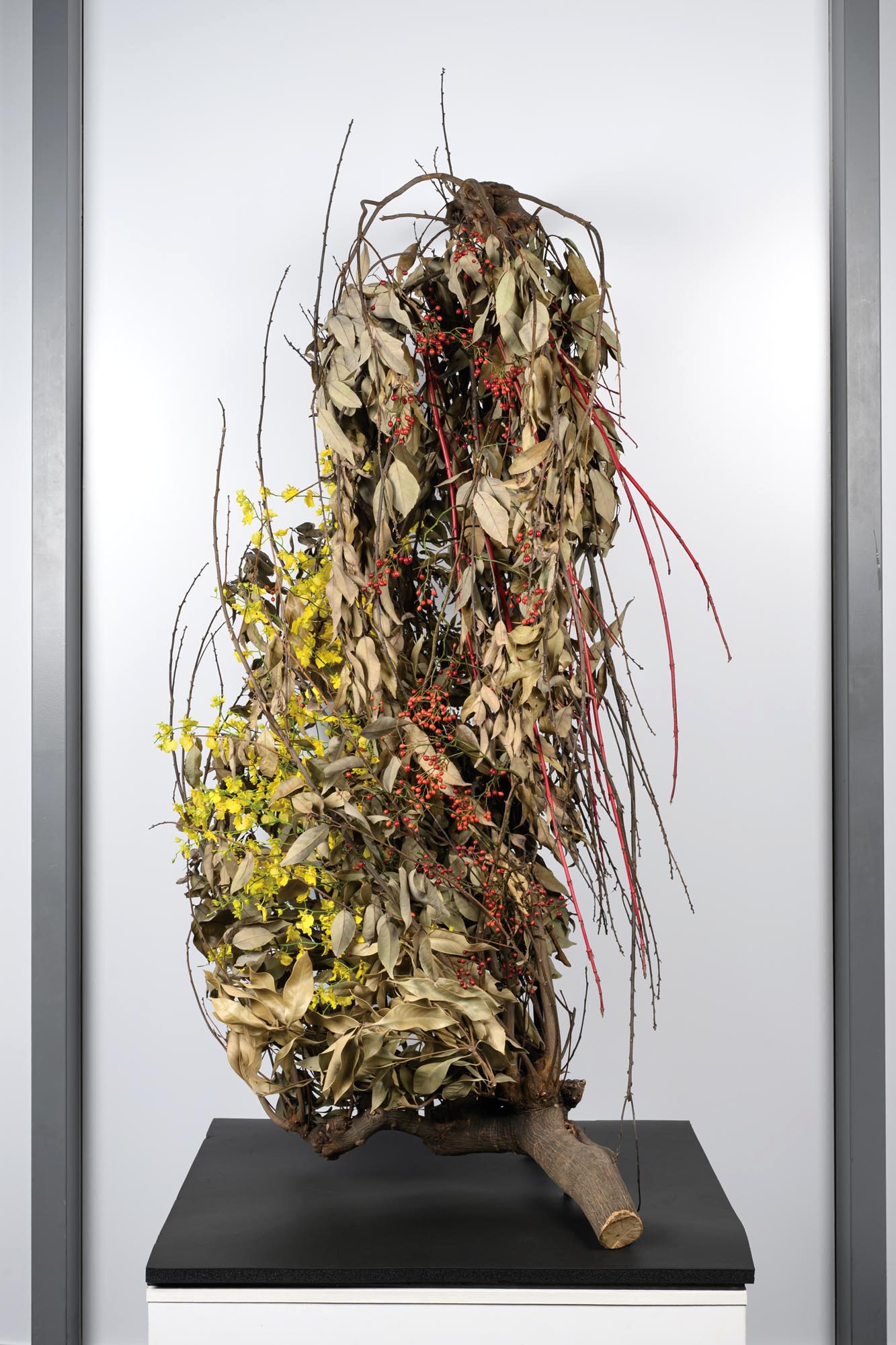 お - 渋谷いけばなウィーク|SHIBU-IKE