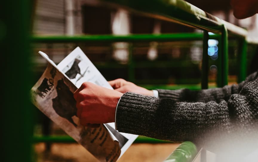 Man browsing sales catalog at a livestock auction