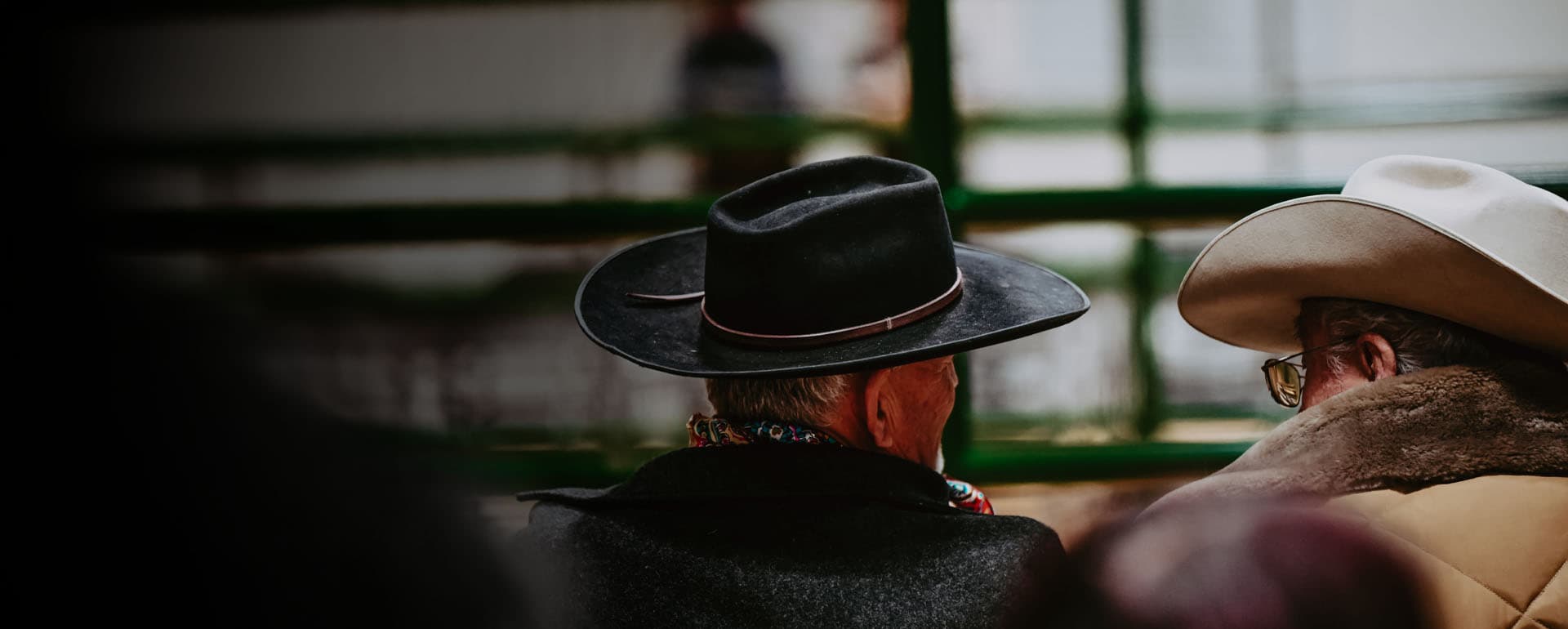 Bidders talking at a livestock auction