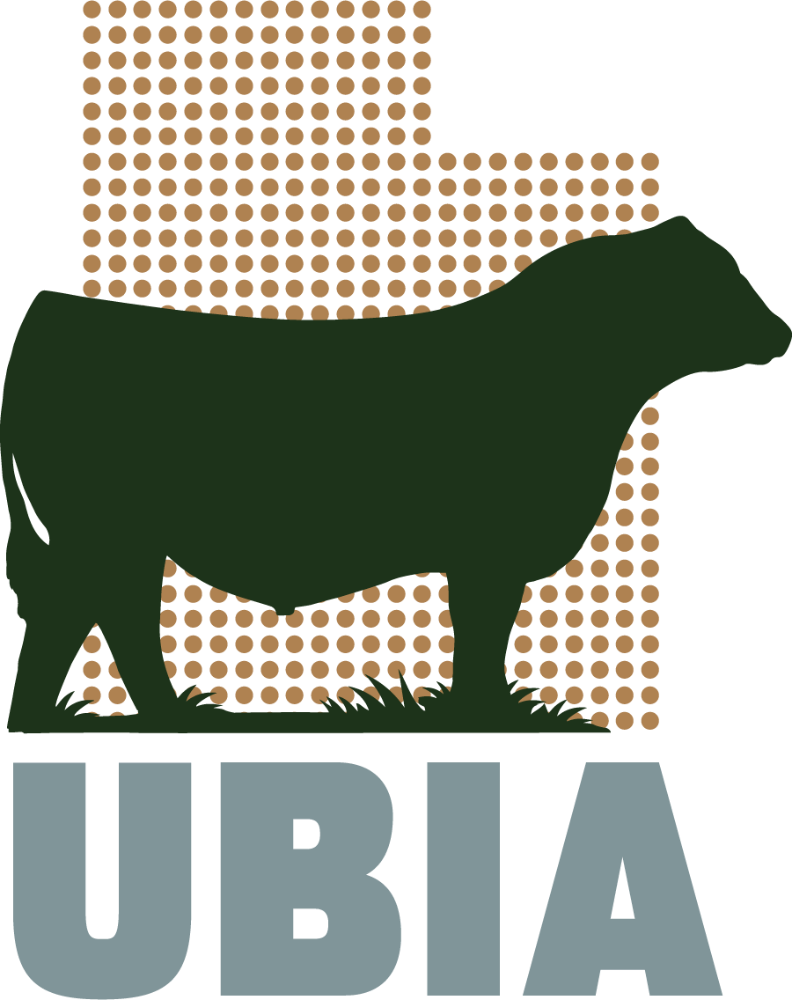Sale Logo