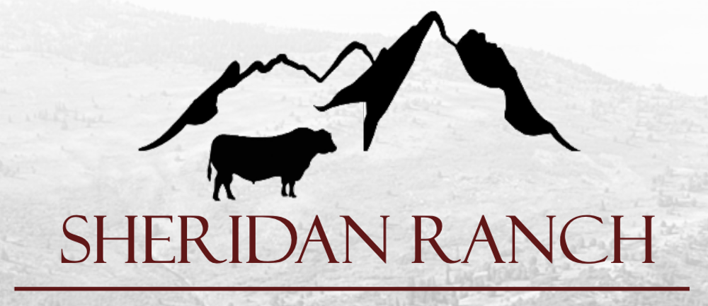 Sale Logo