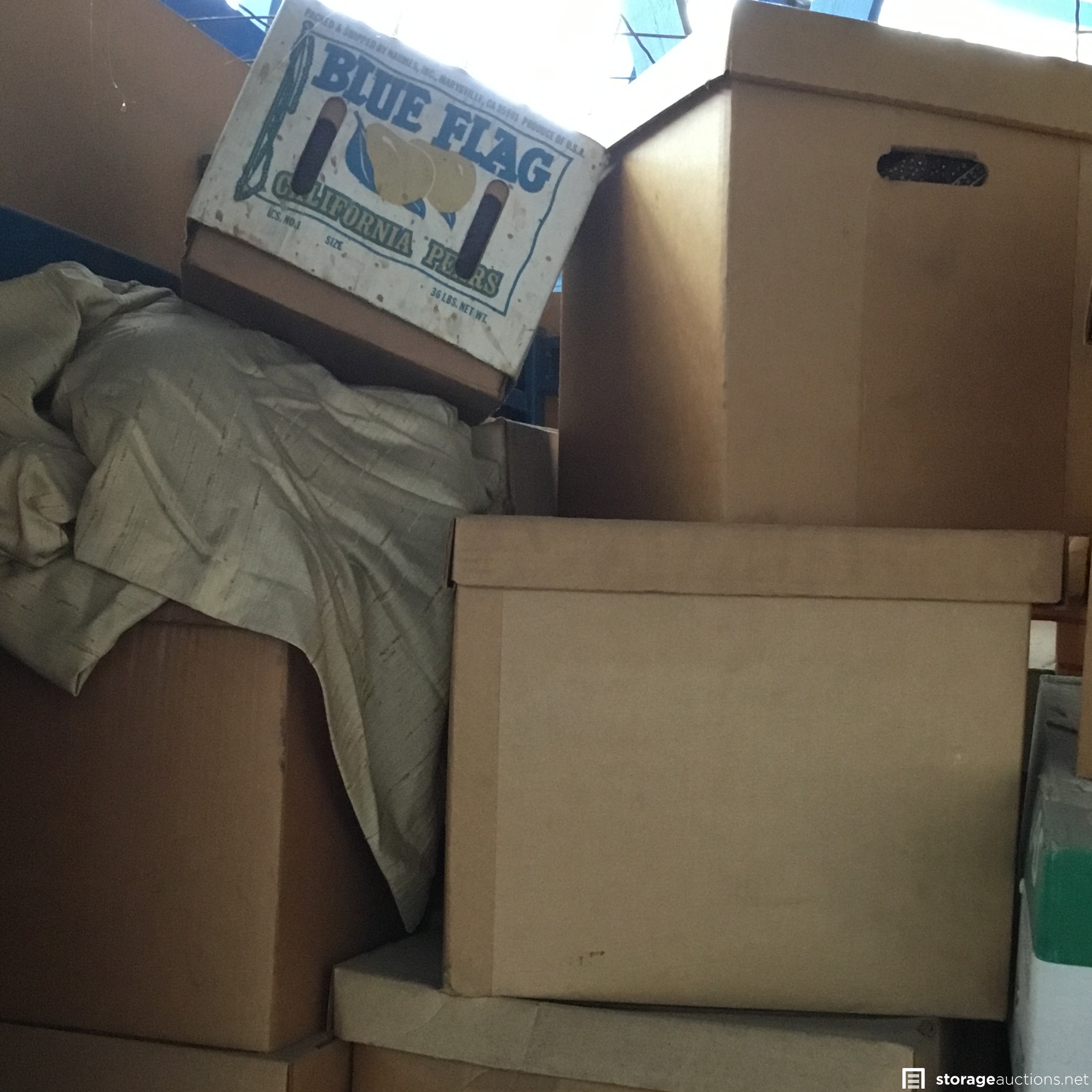 Storage auction 19737 at AAmerican Self Storage