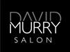 David Murry Salon