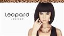 Leopard Lounge Hair & Beauty